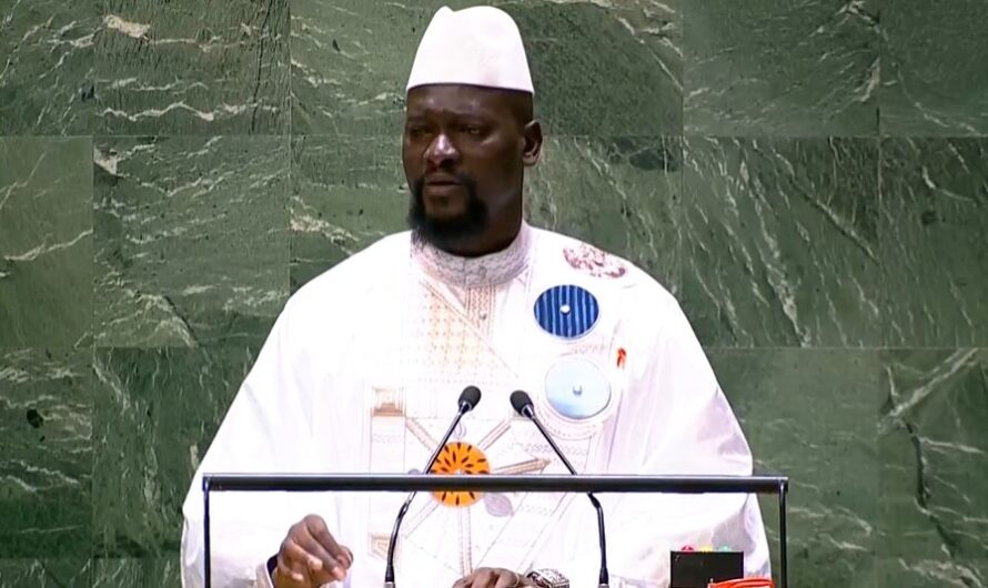 ASSEMBLÉE_GÉNÉRALE_ONU :  L’Afrique souffre d&rsquo;un modèle de gouvernance qui lui a été imposé.